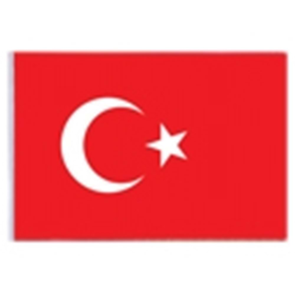 VATAN BEZ BAYRAK 200X300 VT111