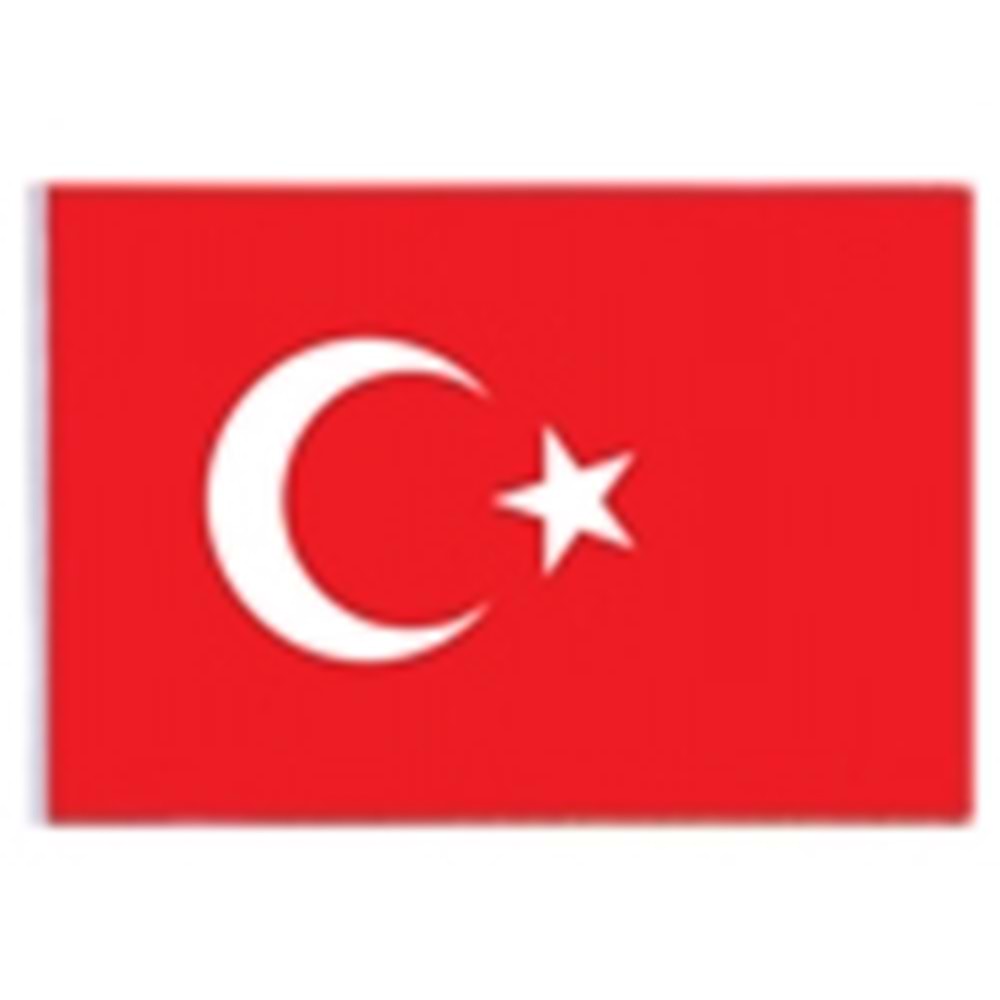 VATAN BEZ BAYRAK 40X60 VT103