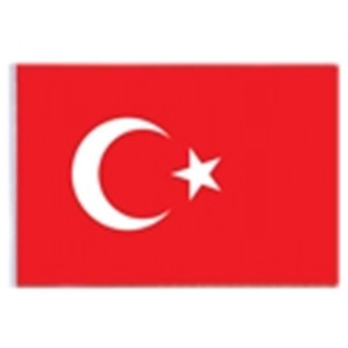 VATAN BEZ BAYRAK 40X60 VT103