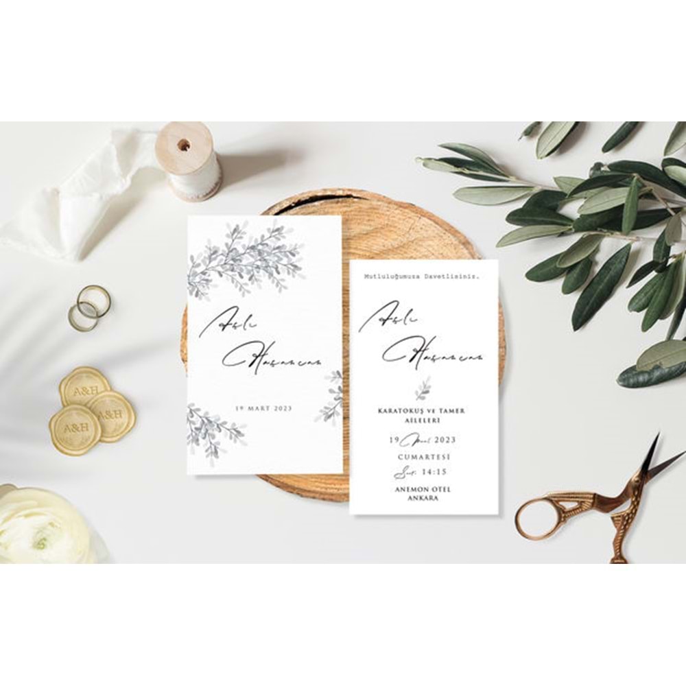 CARMEN 6211 (100 ADET)